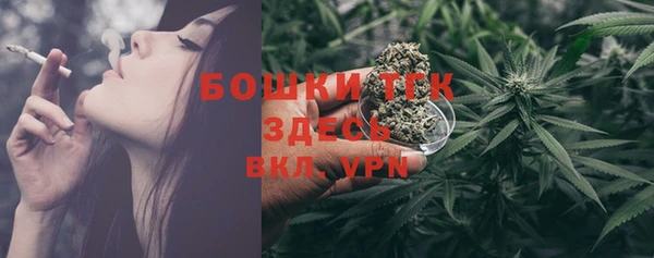 ешки Надым