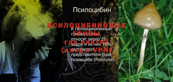 хмурый Наволоки