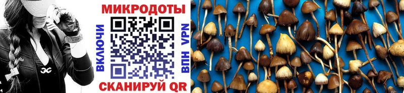 где можно купить наркотик  Бежецк  ссылка на мегу ссылки  Галлюциногенные грибы Psilocybe 